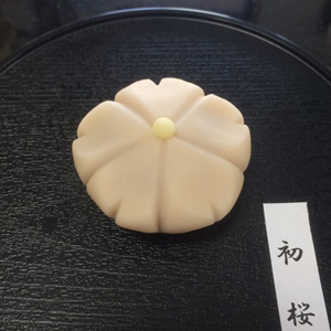 初桜